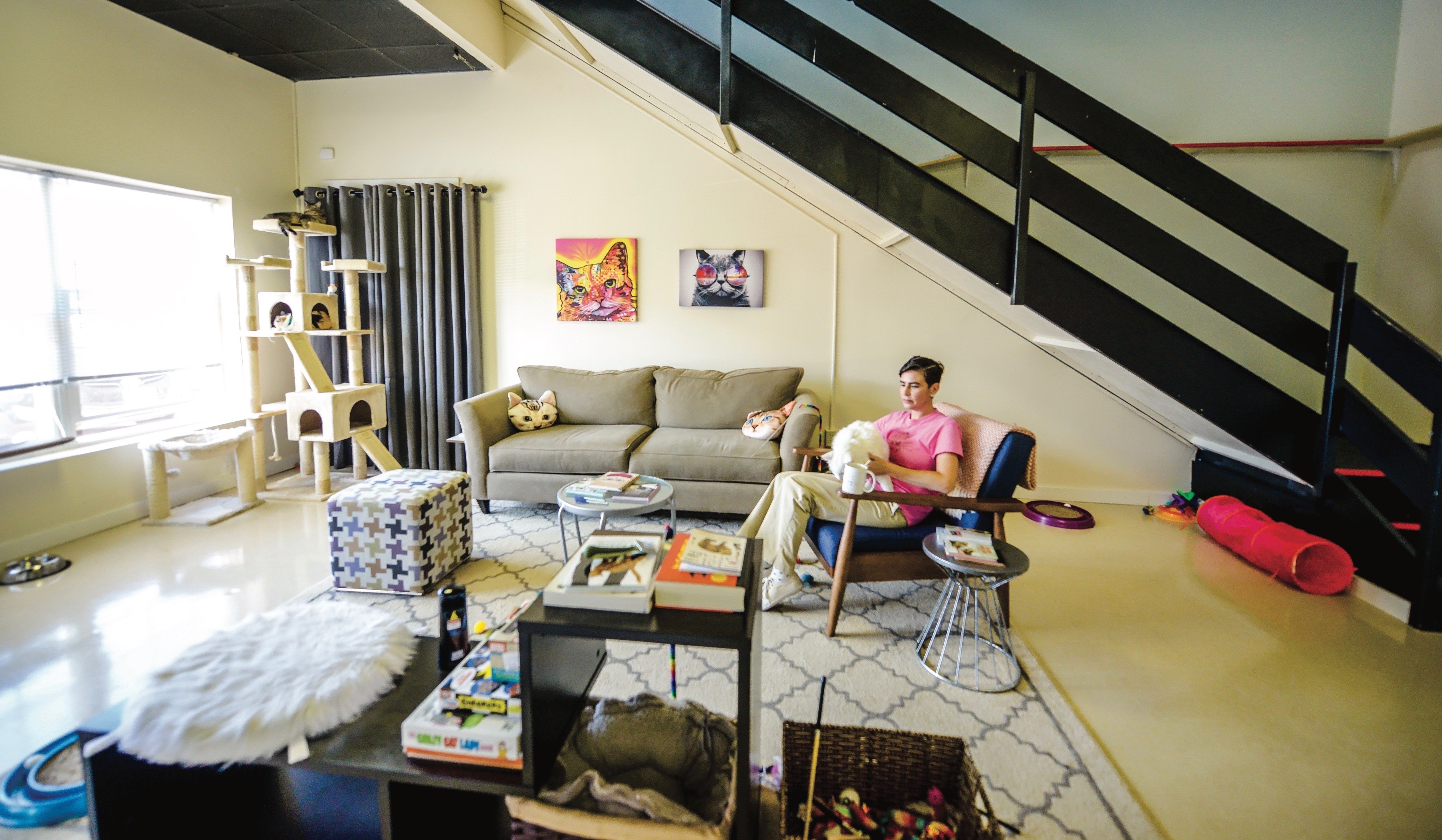 Norfolk's first cat cafe, Catnip Cafe