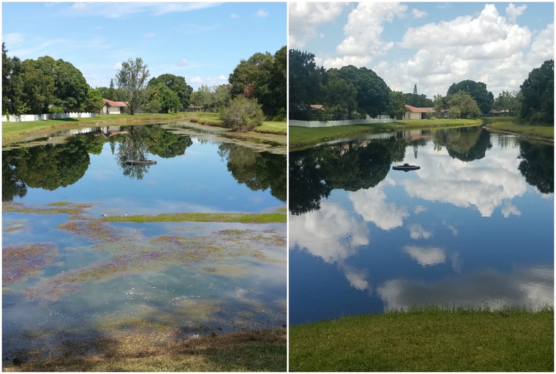 Dan Hunt, SOLitude Lake Management, Fort Myers, Fla