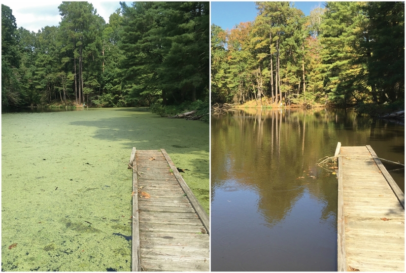 Trent Nelson, SOLitude Lake Management, High Point, NC