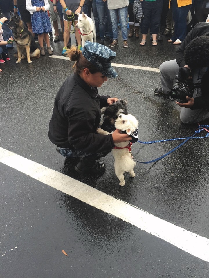 Community Impact Awards, Hampton Roads, Wasserhund Brewing, Dogs on Deployment