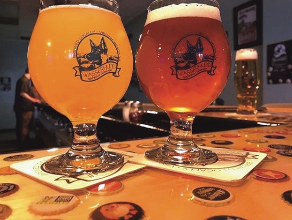 Wasserhund Brewing, craft beer, cause of the month, Community Impact Awards, Hampton Roads