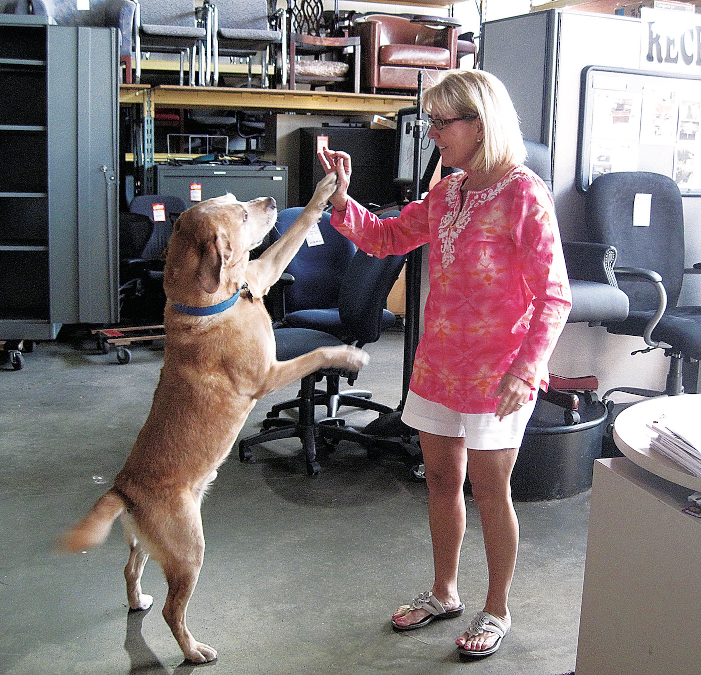 Office Furniture Outlet, Norfolk