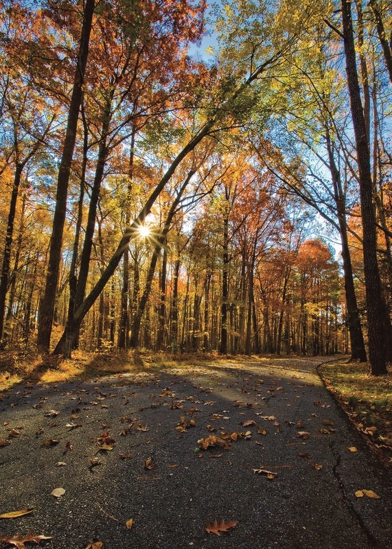 Newport News tourism