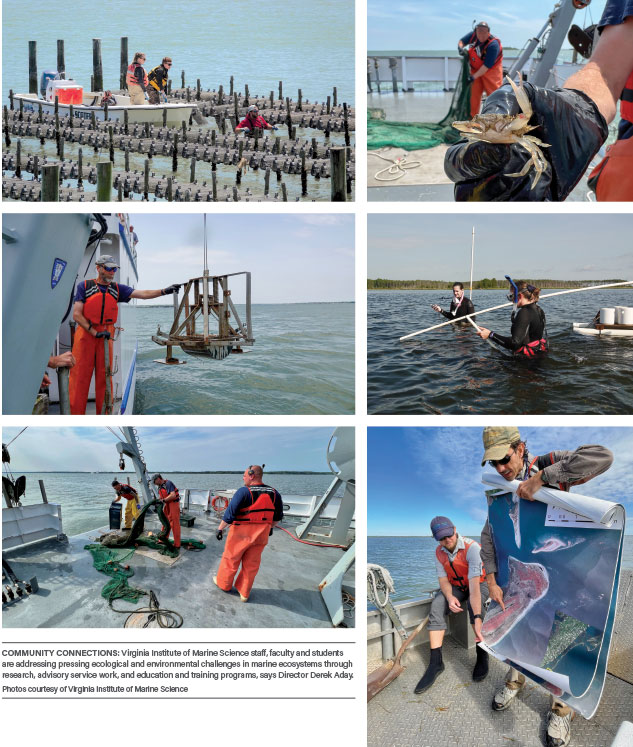Photos courtesy of Virginia Institute of Marine Science