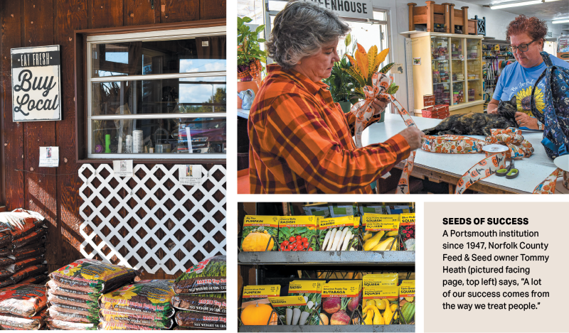 Norfolk Seed Company